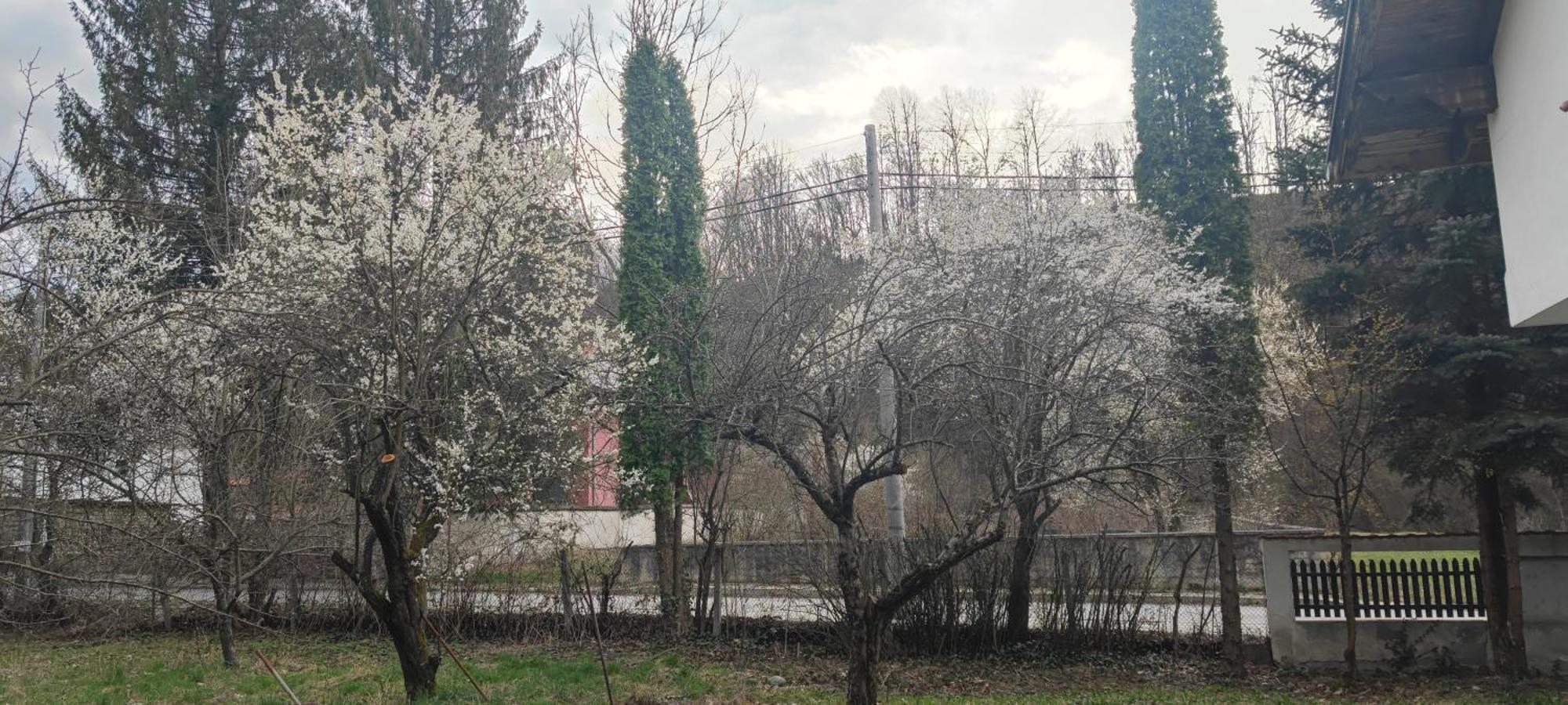 Хан Костина - Han Kostina Ribaritsa Exteriör bild